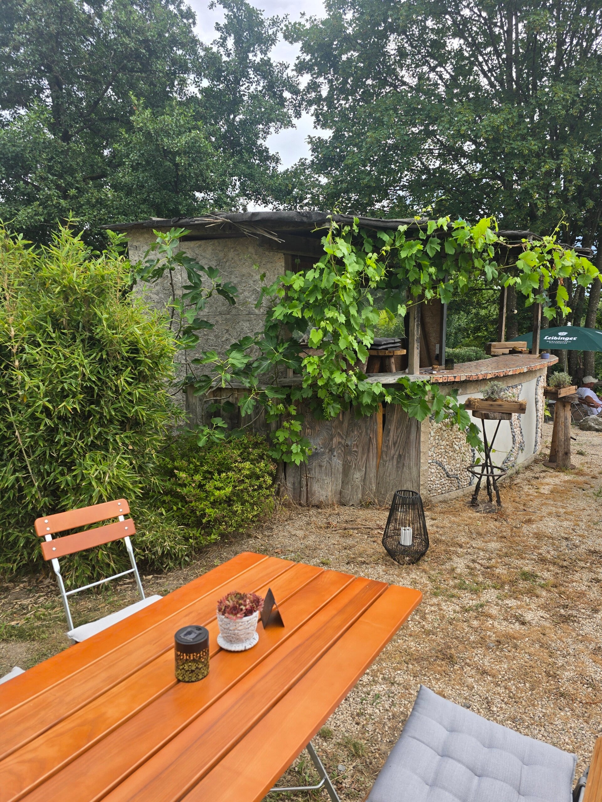 20260705_172942-standard.jpg