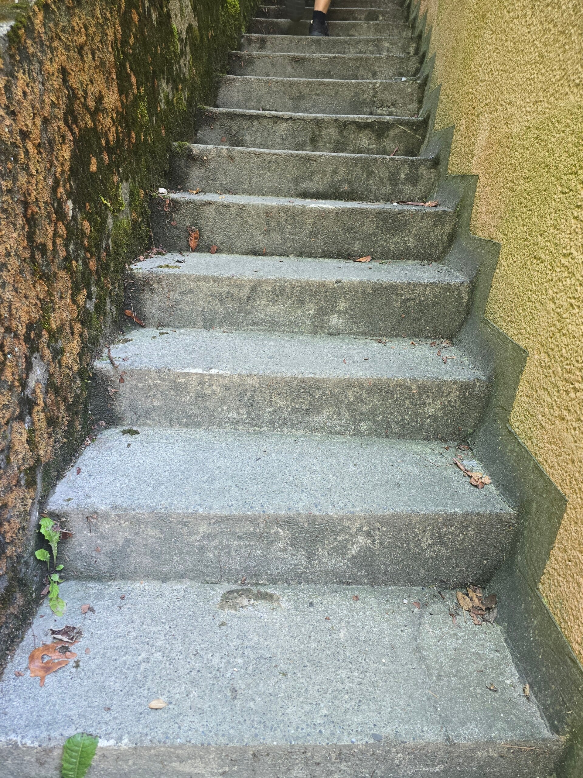20260717_141236-standard.jpg