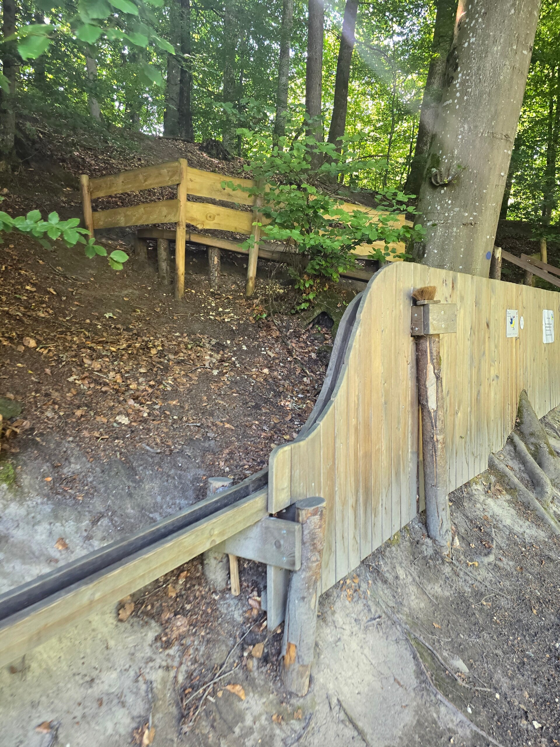 20260717_151233-standard.jpg