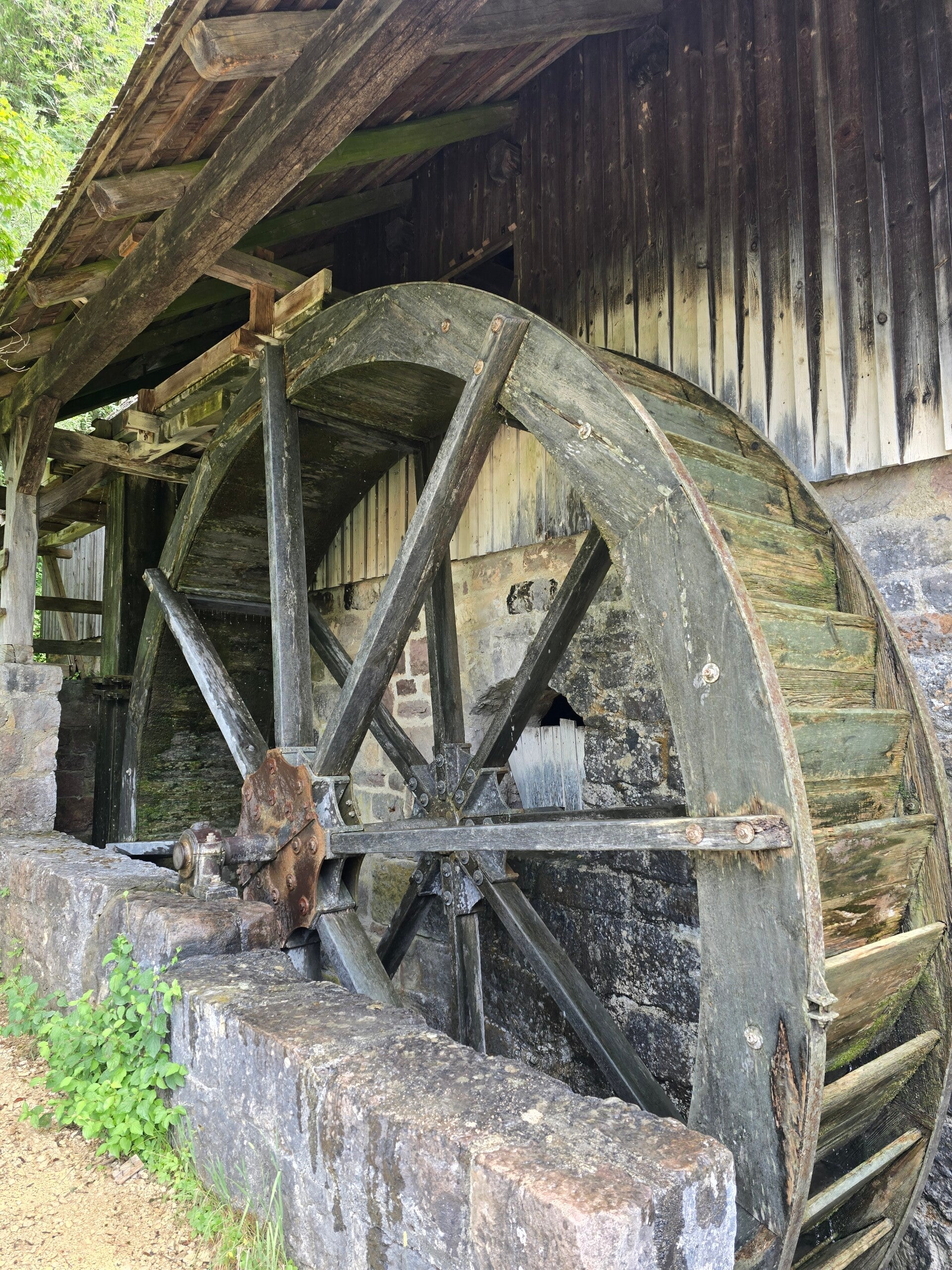 20260718_110727-standard.jpg