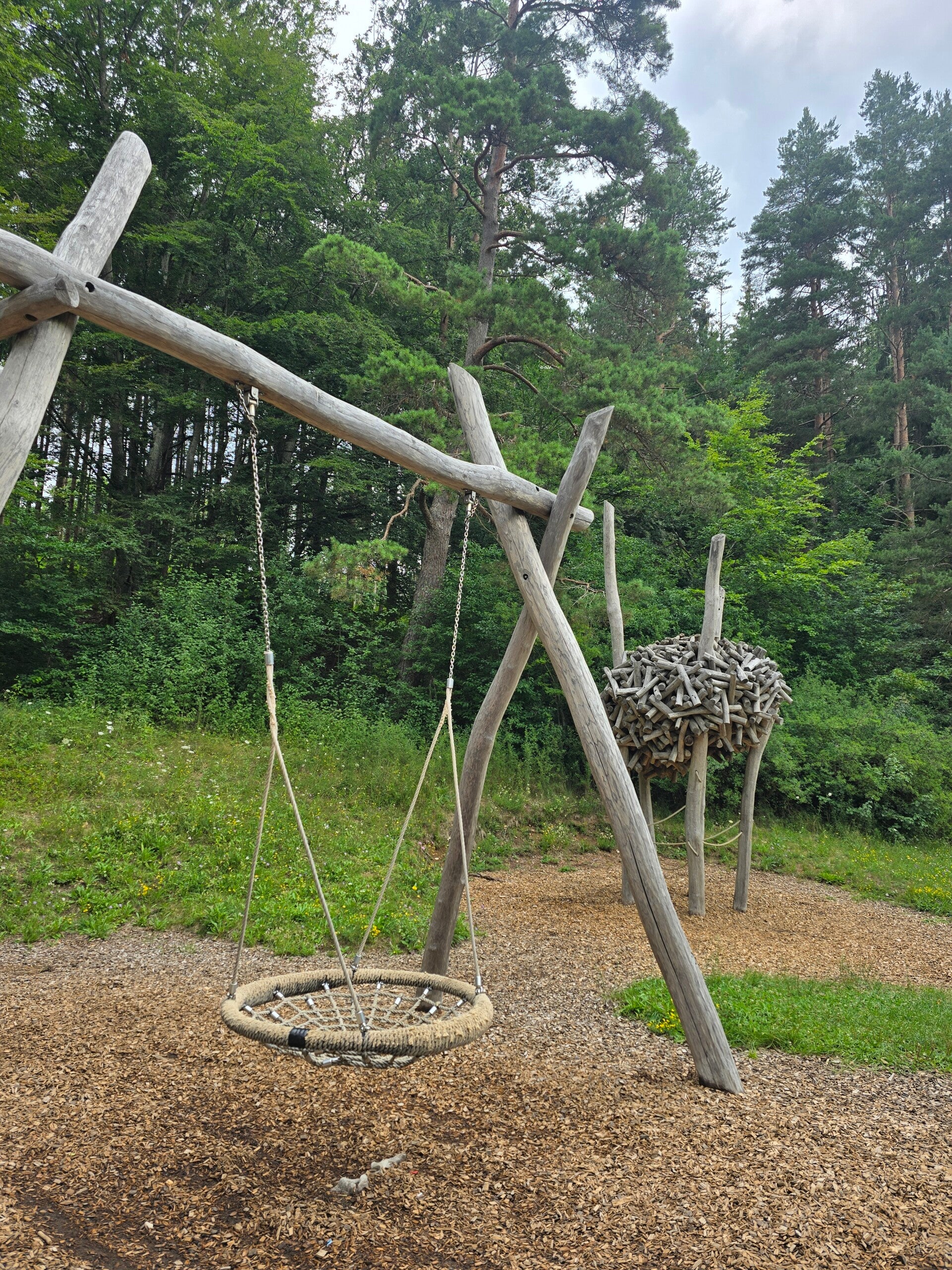 20260718_113105-standard.jpg