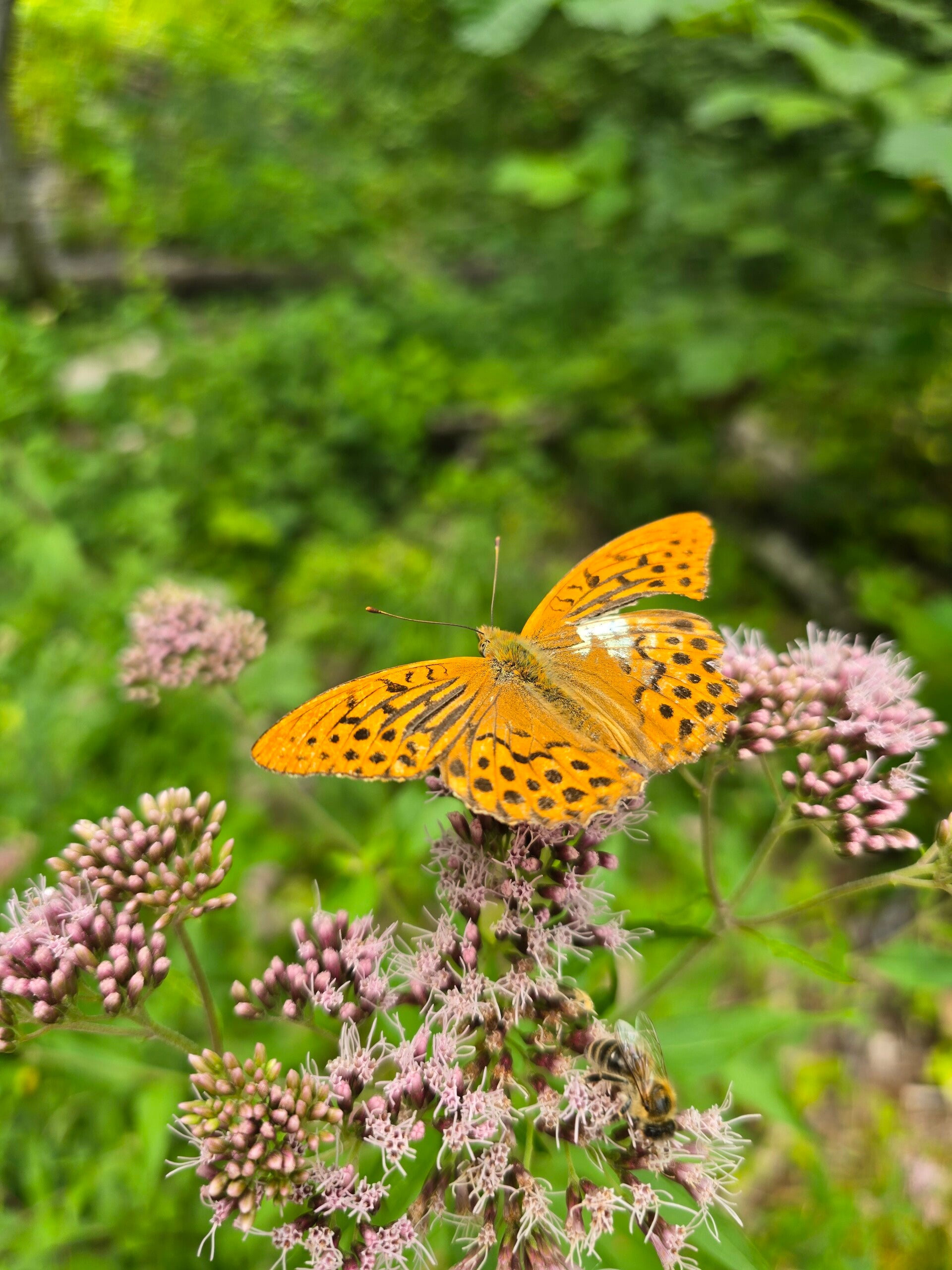 20260801_140844-standard.jpg