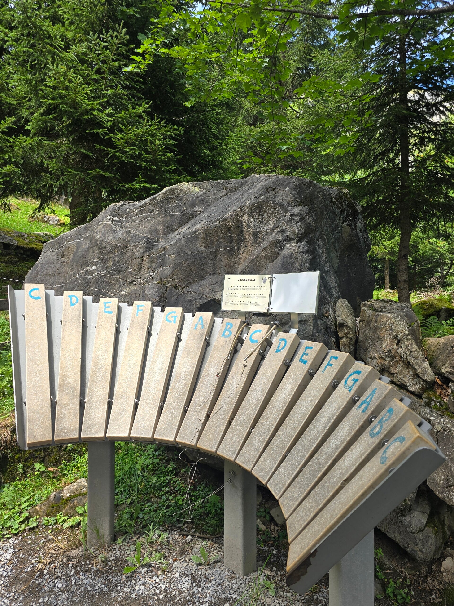 20260803_131538-standard.jpg