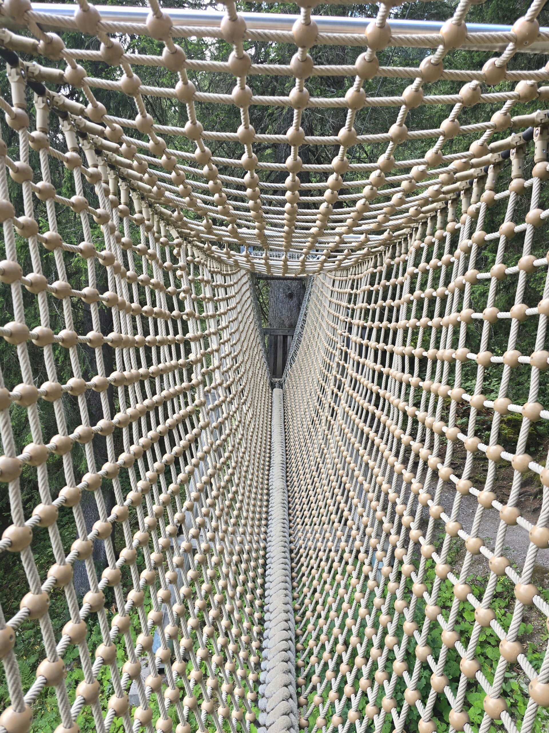 20260803_135634-standard.jpg