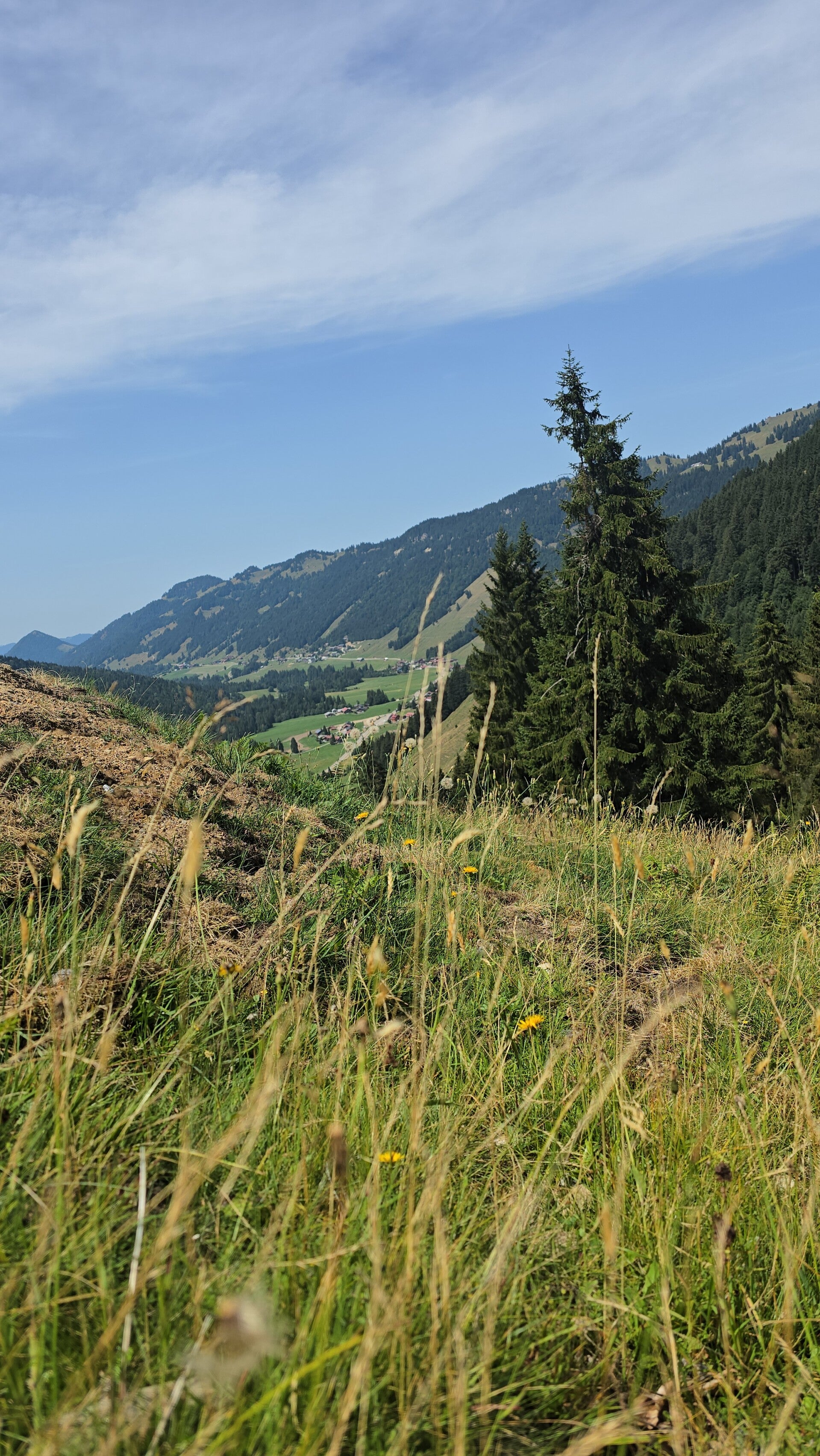 20260809_124315-standard.jpg