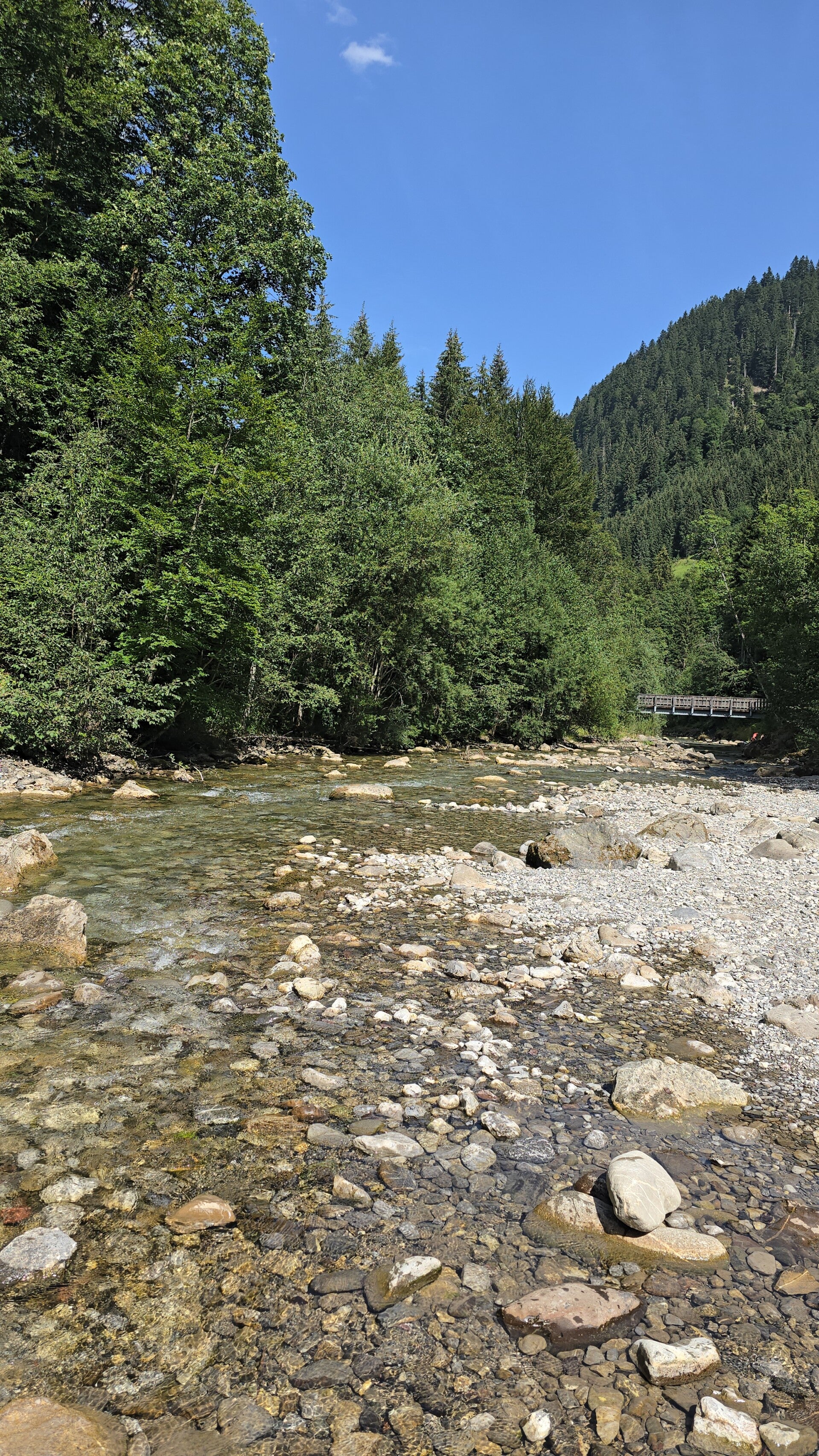 20260809_151325-standard.jpg