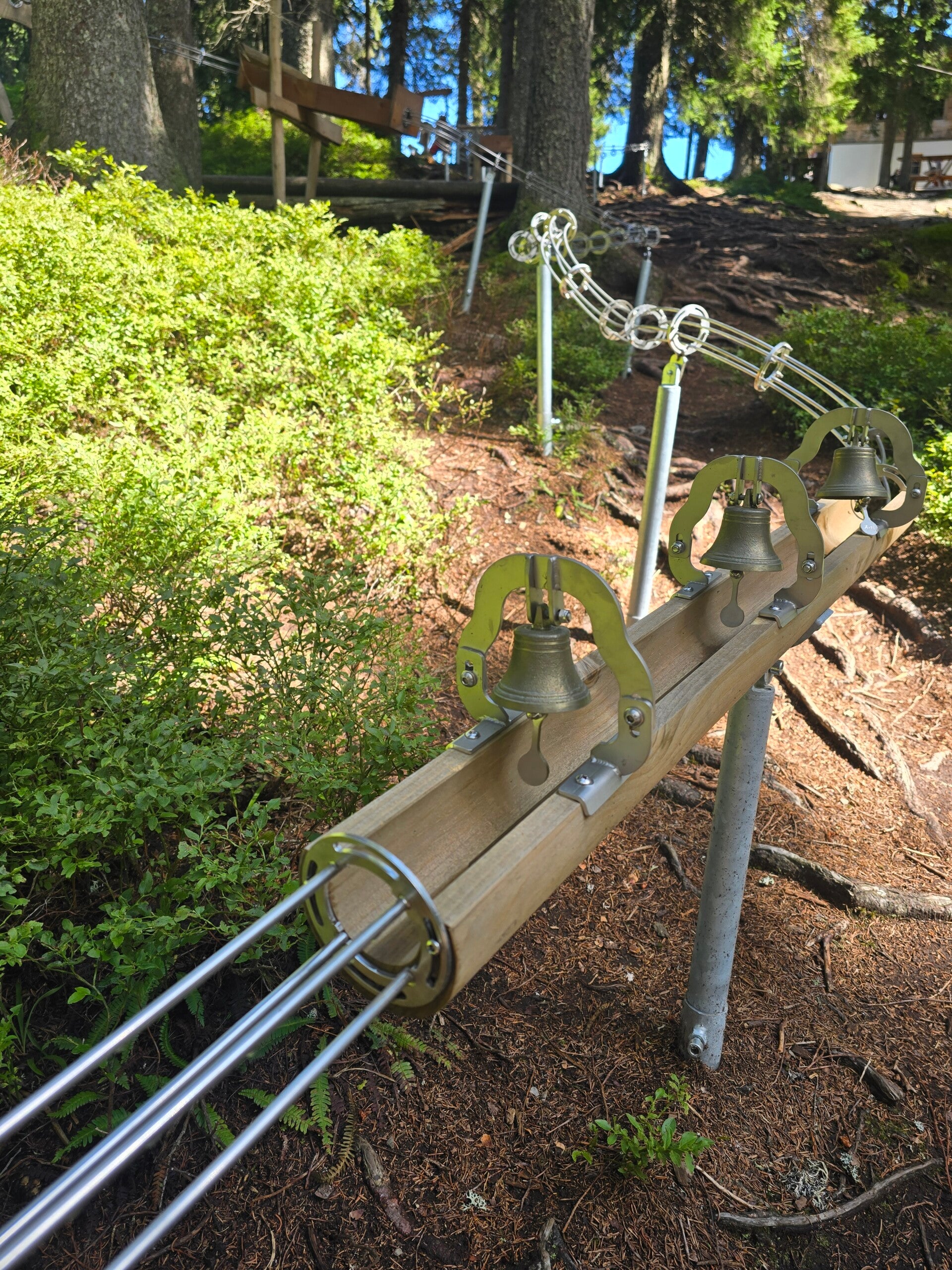 20260829_113239-standard.jpg