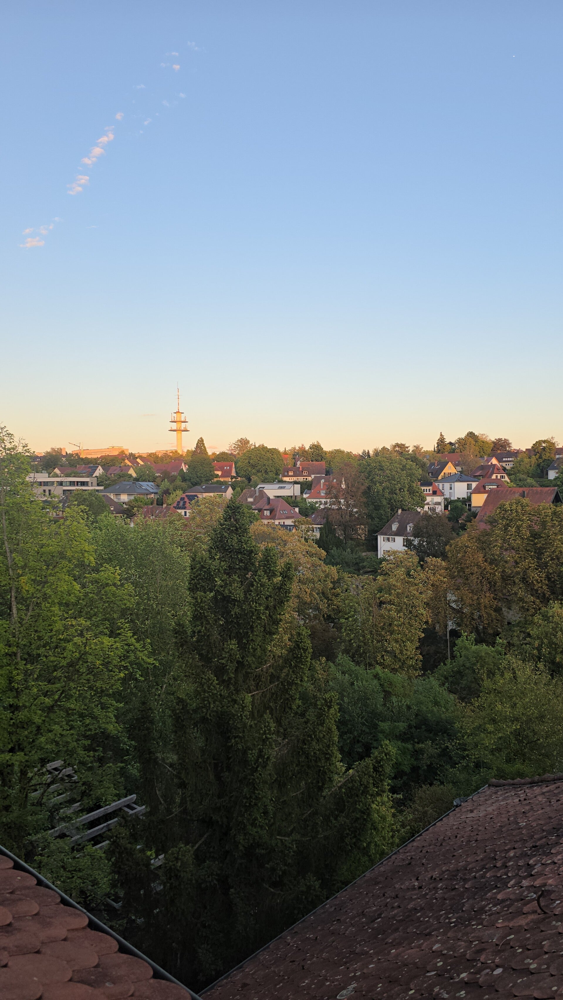 20260904_194657-standard.jpg