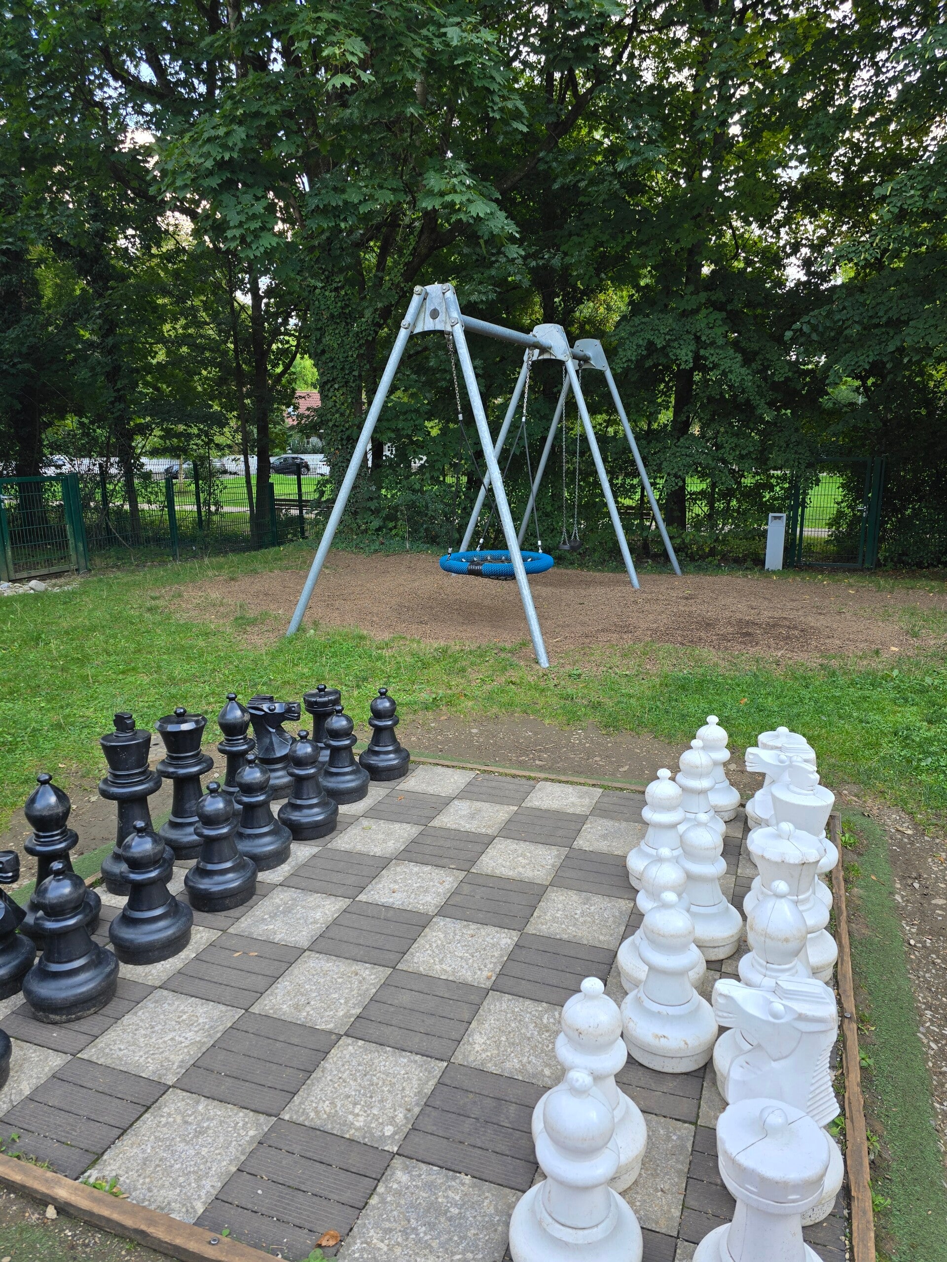 20260911_173035-standard.jpg