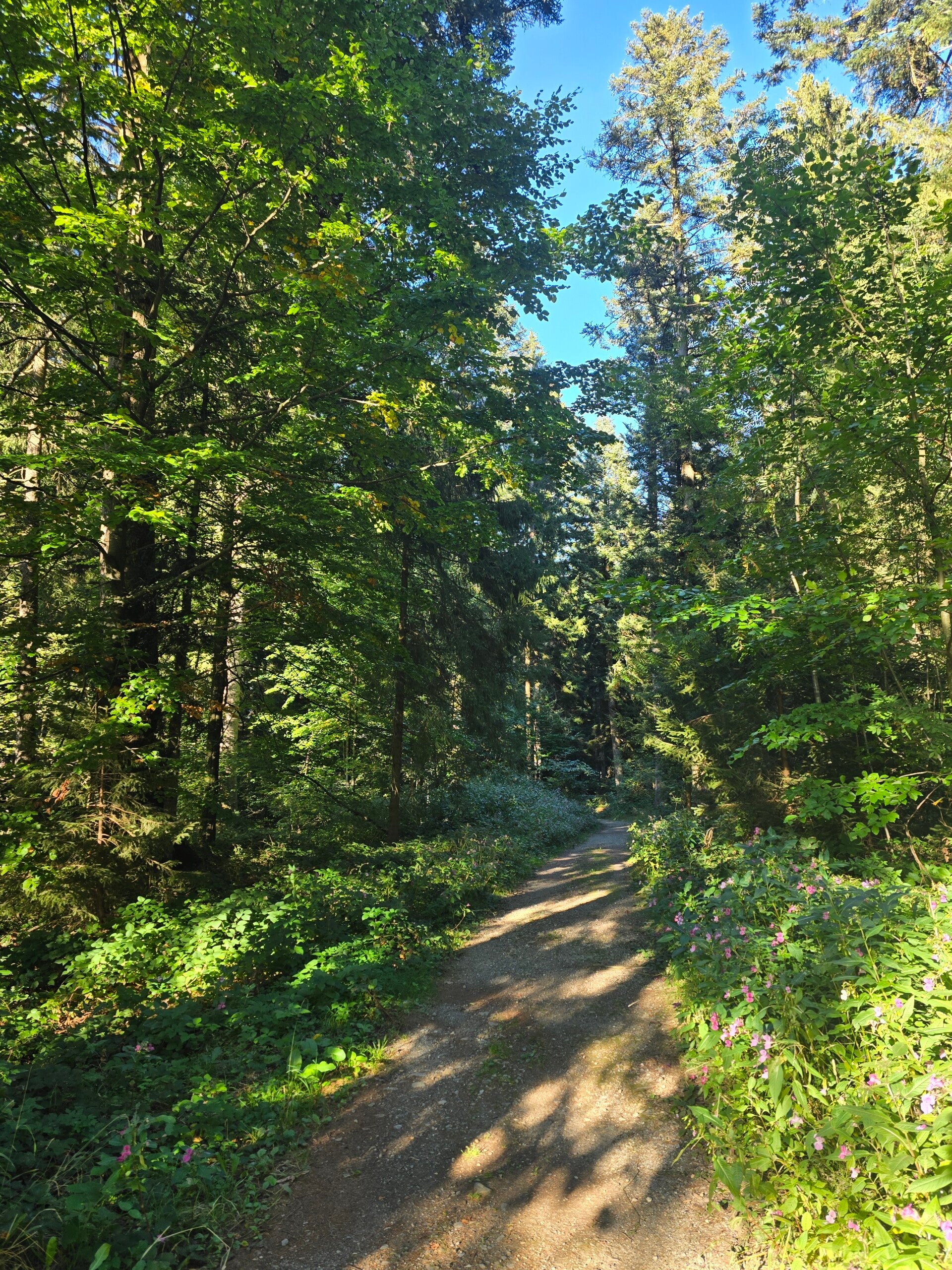 20260927_171352-standard.jpg
