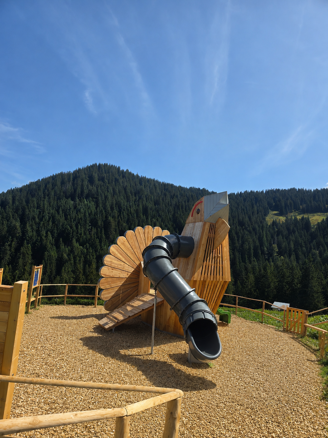 chatgpt-image-9-aug-2026-11_21_14-standard.png