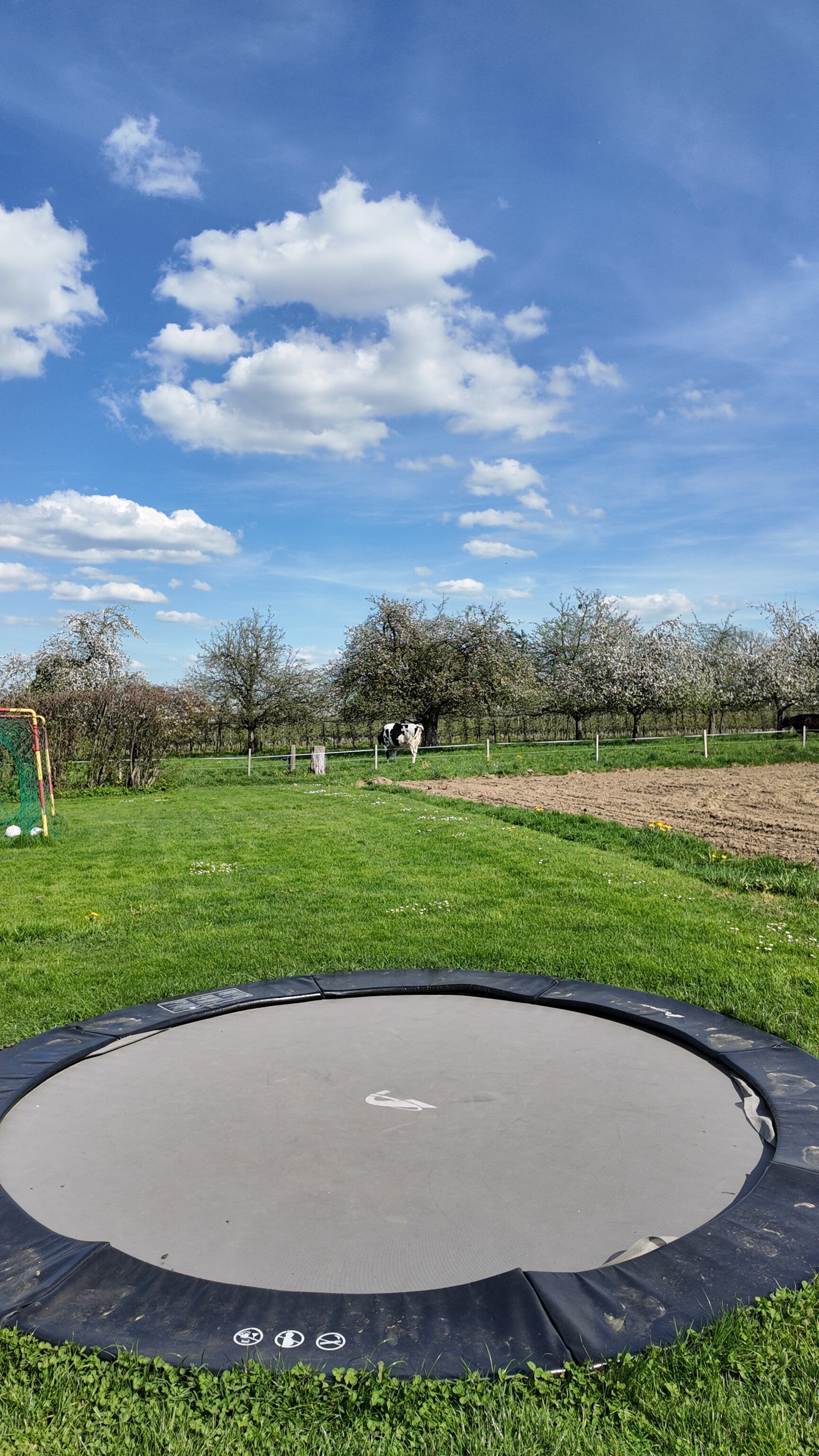 dji_mimo_20260417_161152_0_1776455979716_photo-standard-1xmk3g.jpg