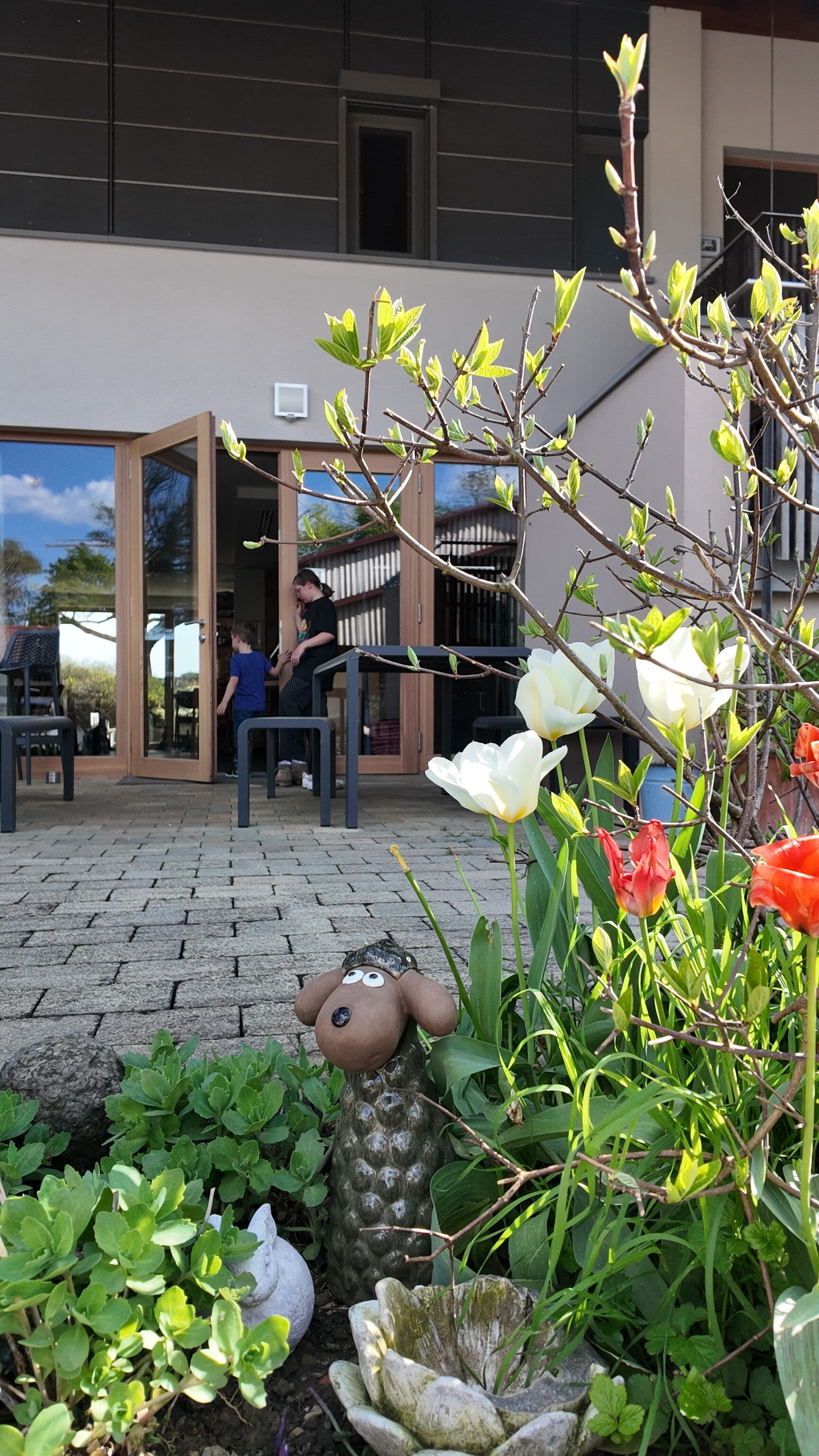 dji_mimo_20260417_162924_0_1776458259552_photo-standard.jpg