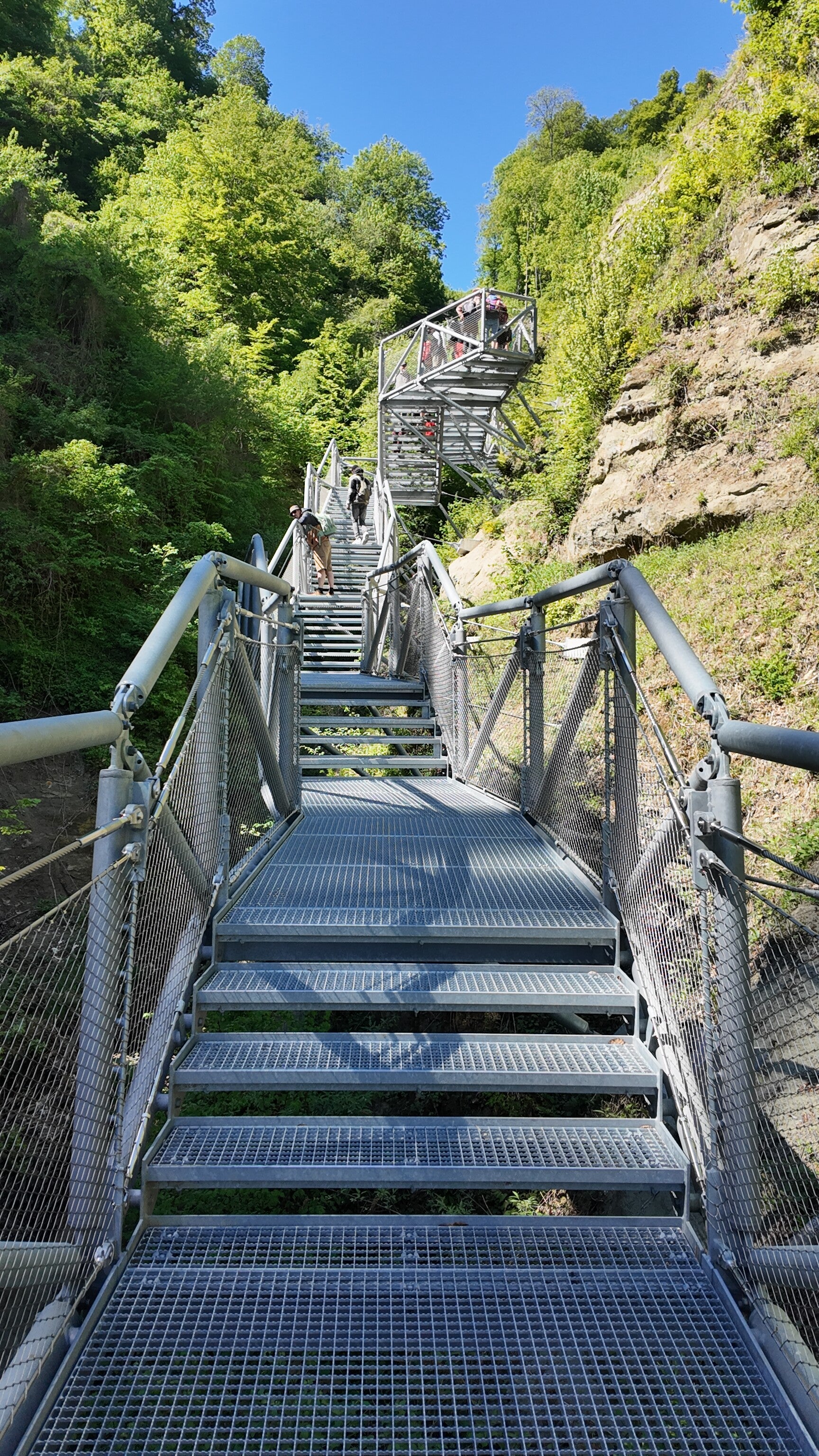 dji_mimo_20260501_114240_0_1777652432773_photo-standard.jpg