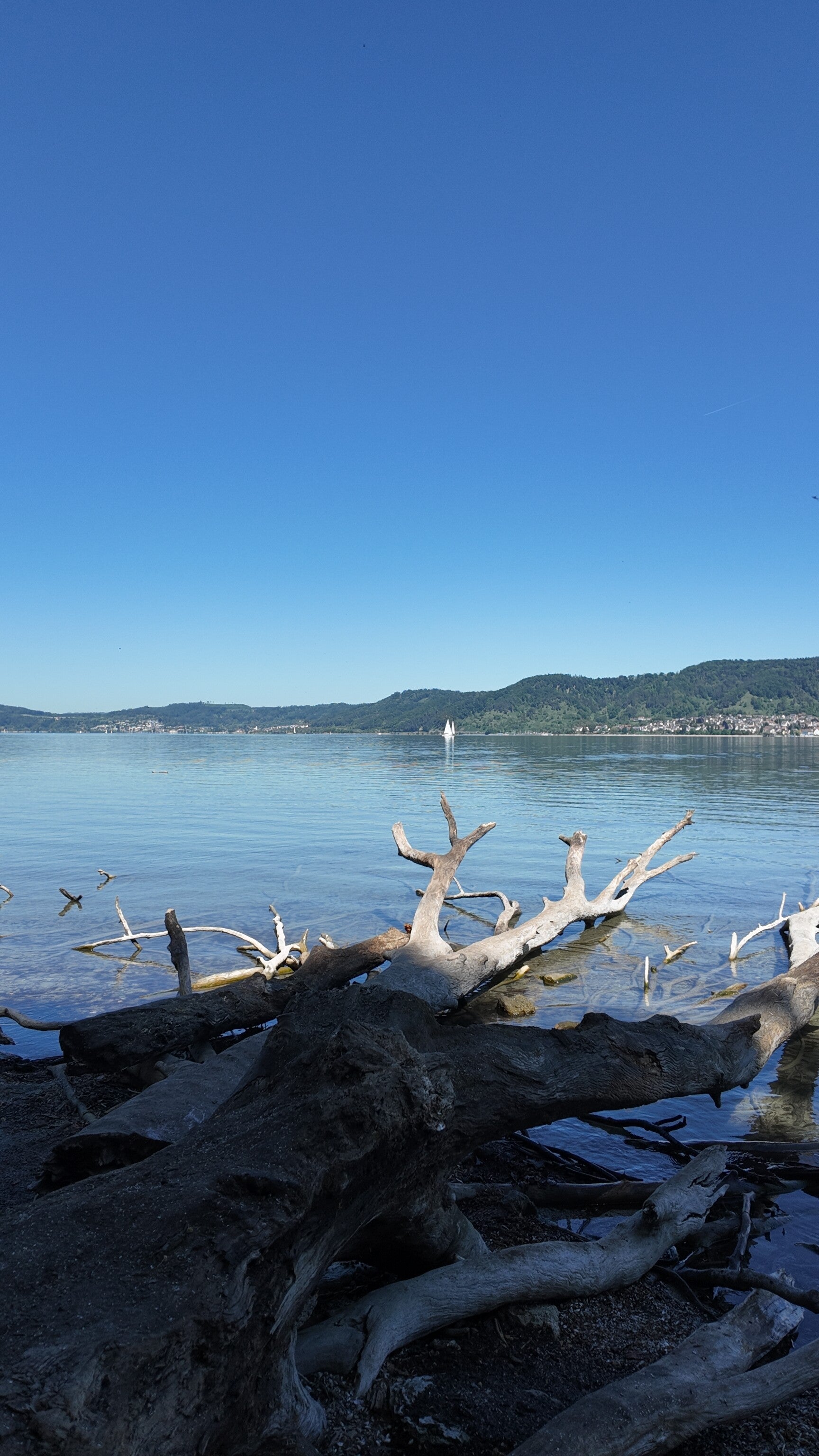 dji_mimo_20260501_120516_0_1777652427253_photo-standard.jpg