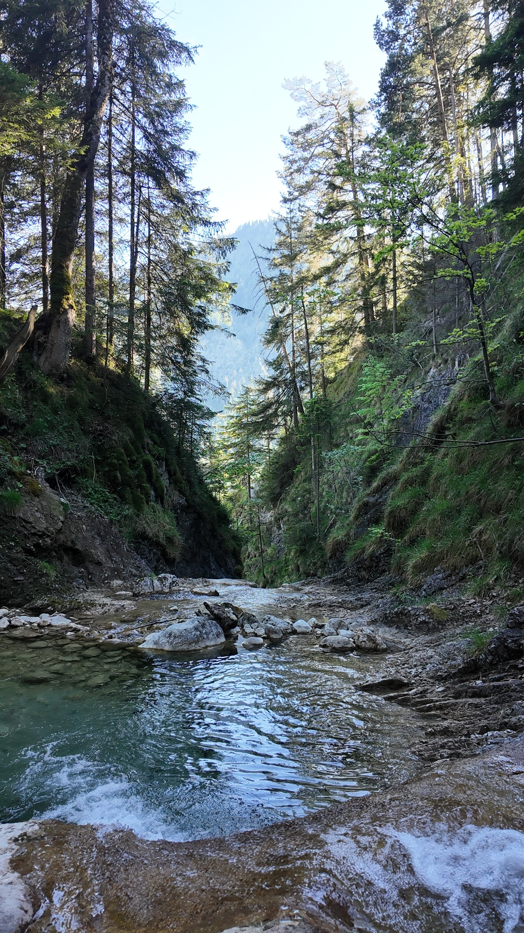 dji_mimo_20260523_171932_0_1781365453334_photo-standard.jpg