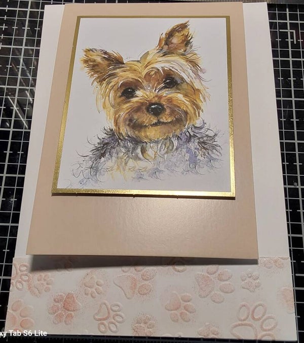 Classic additional flap card 7" x 5"