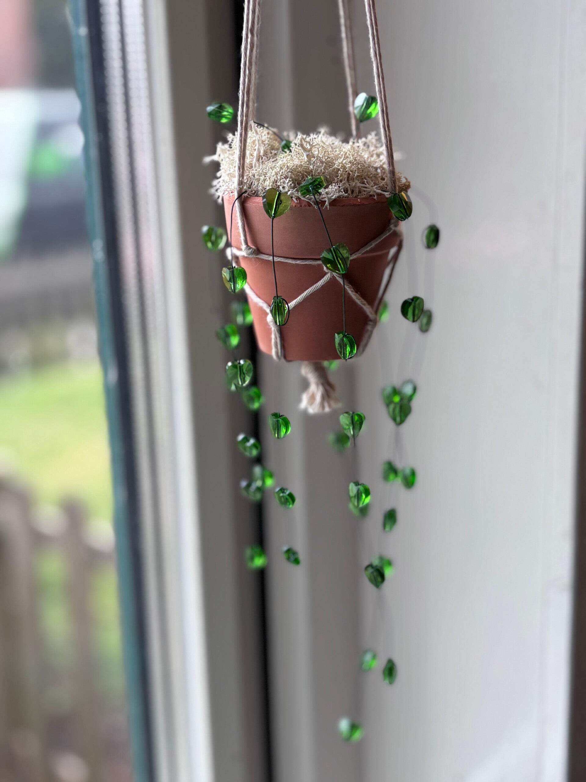 Beaded plants