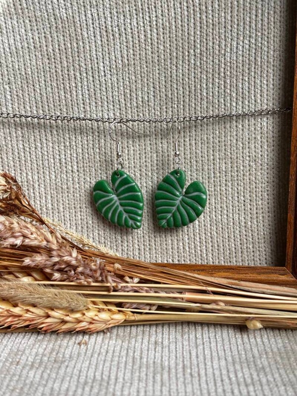 Philodendron White vein