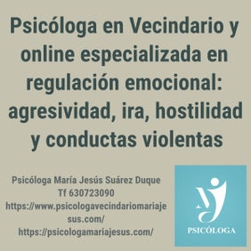 Psicóloga en Vecindario y online especializada en regulación emocional: agresividad, ira, hostilidad y conductas violentas