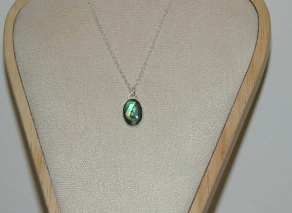 Paua shell necklace🔮
