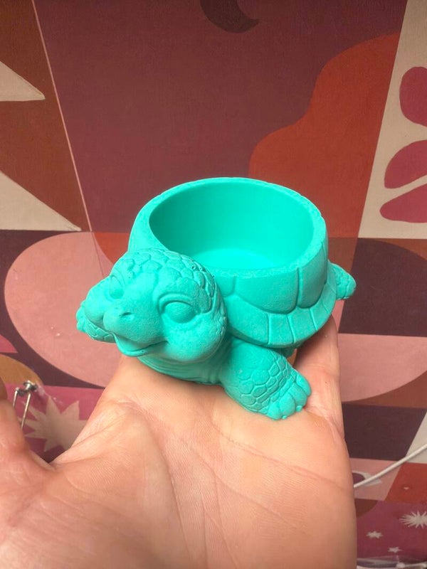 Tortu verte