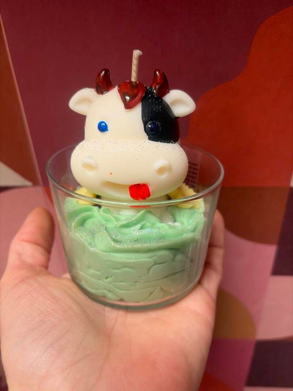 Bougie vache de nord