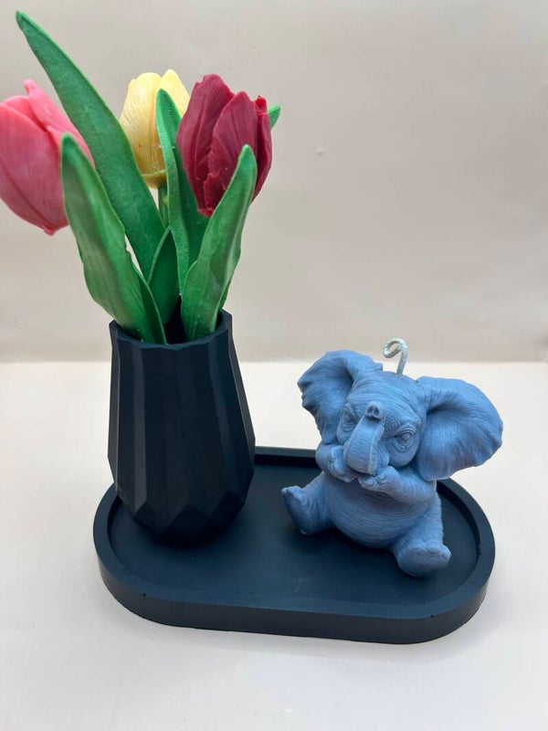 Commande Isabelle