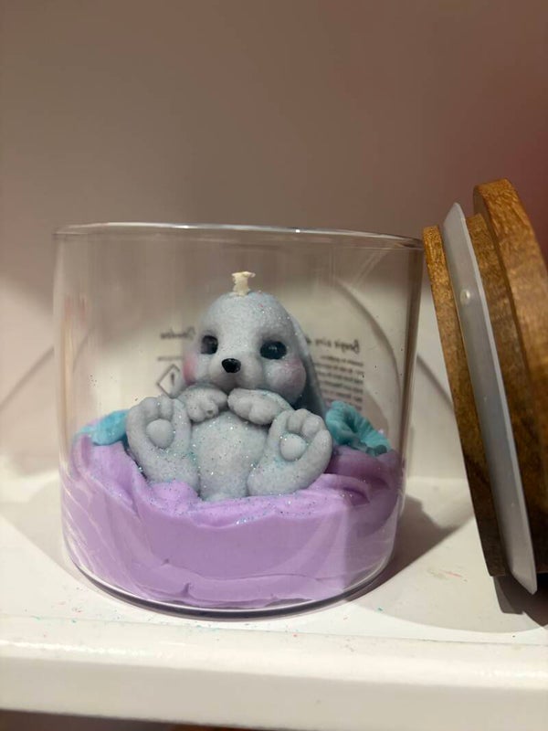 Bougie lapine bocal