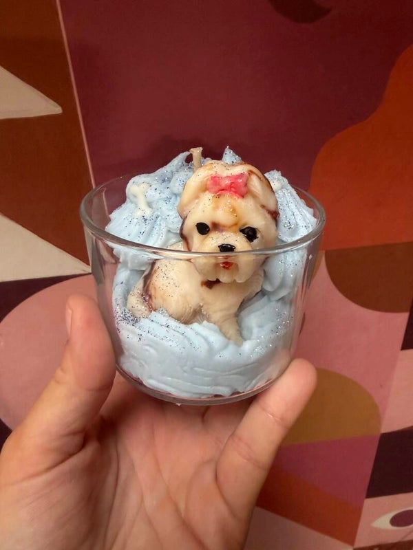 Bougie chien