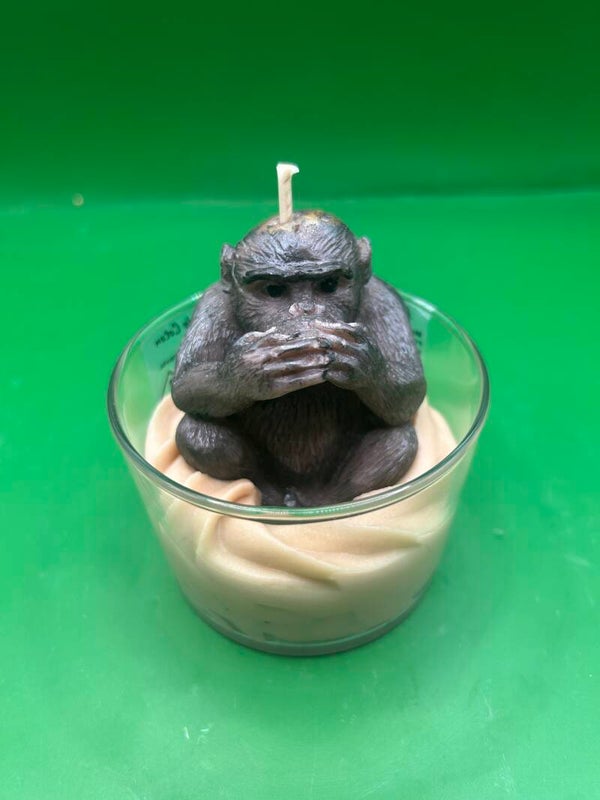 Bougie singe 🐒