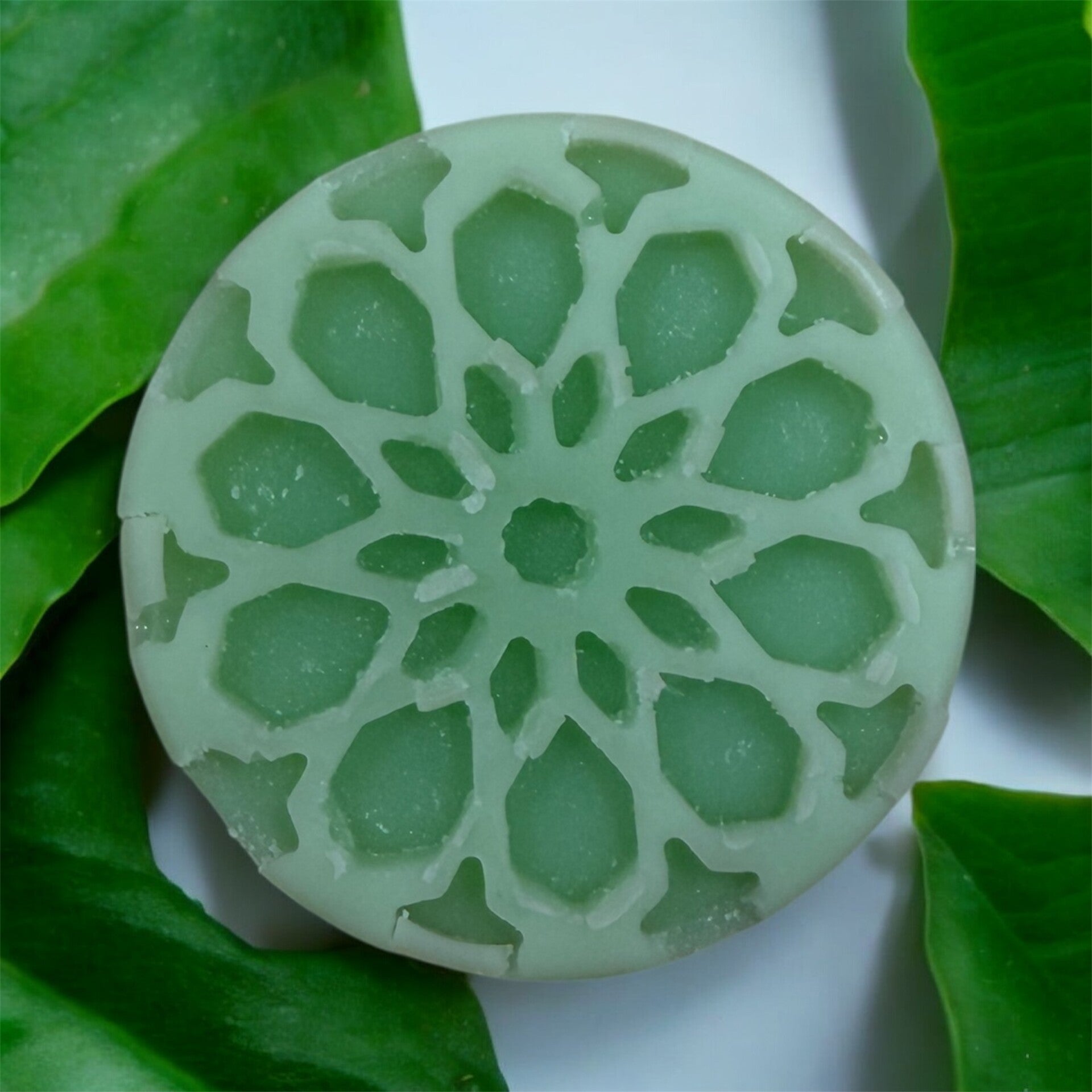 Fondant aloe vera