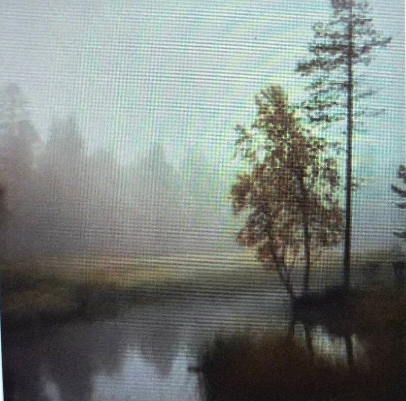 Finnland Teich Nebel Bäume