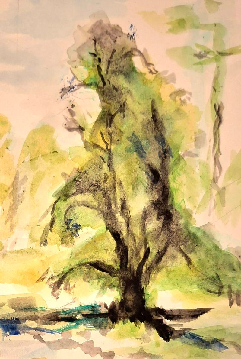 In Finnland ein Baum. Aquarell von Hanspeter Weiss