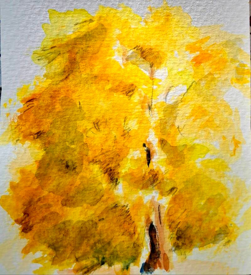 Finnland Ruska Herbst goldener Baum. Bild von Hanspeter Weiss 