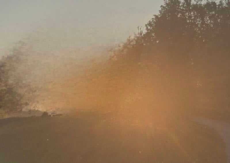 Finnland  Nebel in rotem Sonnenlicht