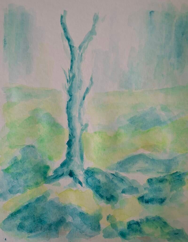 Alte Kiefer Nationalpark Finnland Aquarell Hanspeter Weiss 