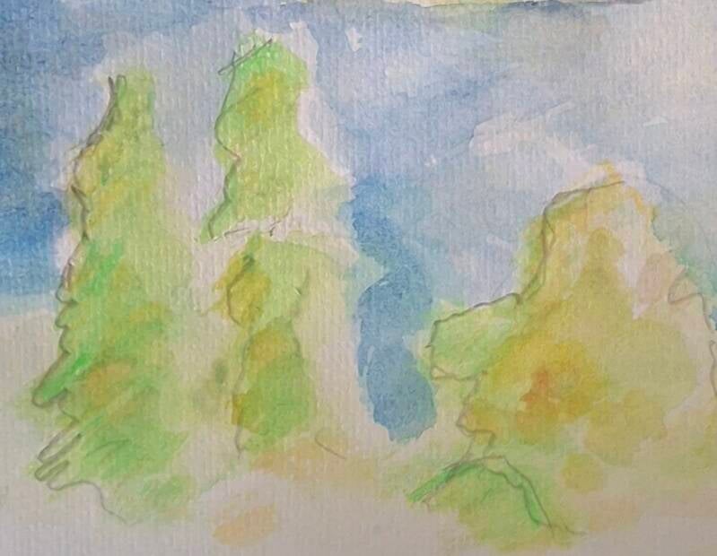 Finnland Nationalpark Wäldchen. Bild von Hanspeter Weiss 
