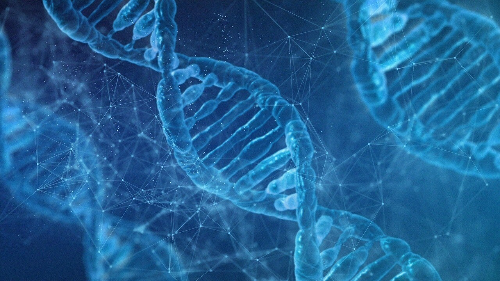 een stockfoto over erfelijkheid en adhd