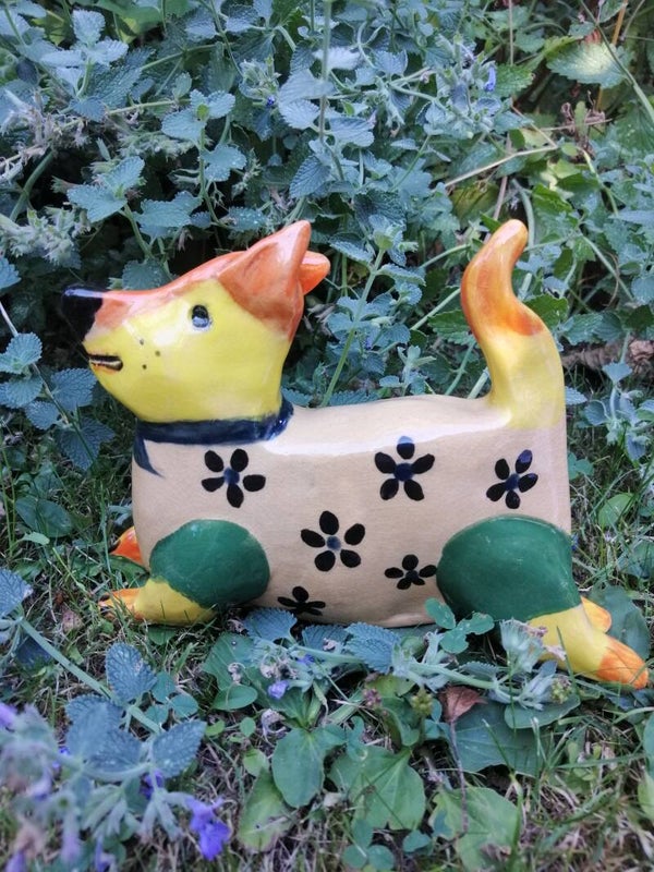 Pétalune le chien