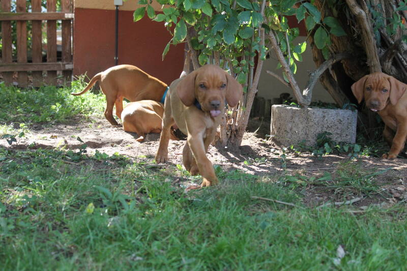 Charlie+Alice+Aron+Akira