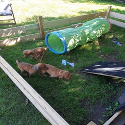 20230904_132042.jpg