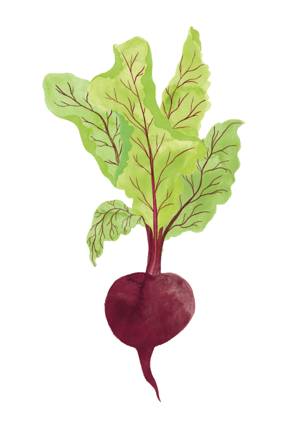 Radijsje for Ons Kaffeetje