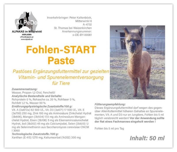 Fohlen Start Paste