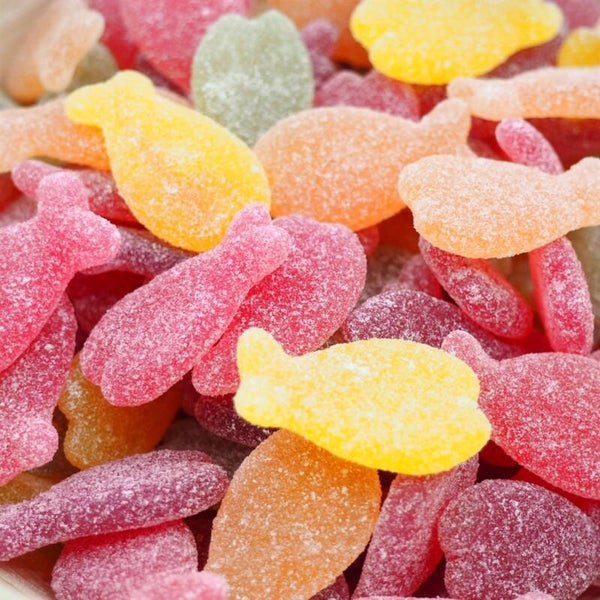 Poissons tropiquaux - 100grs