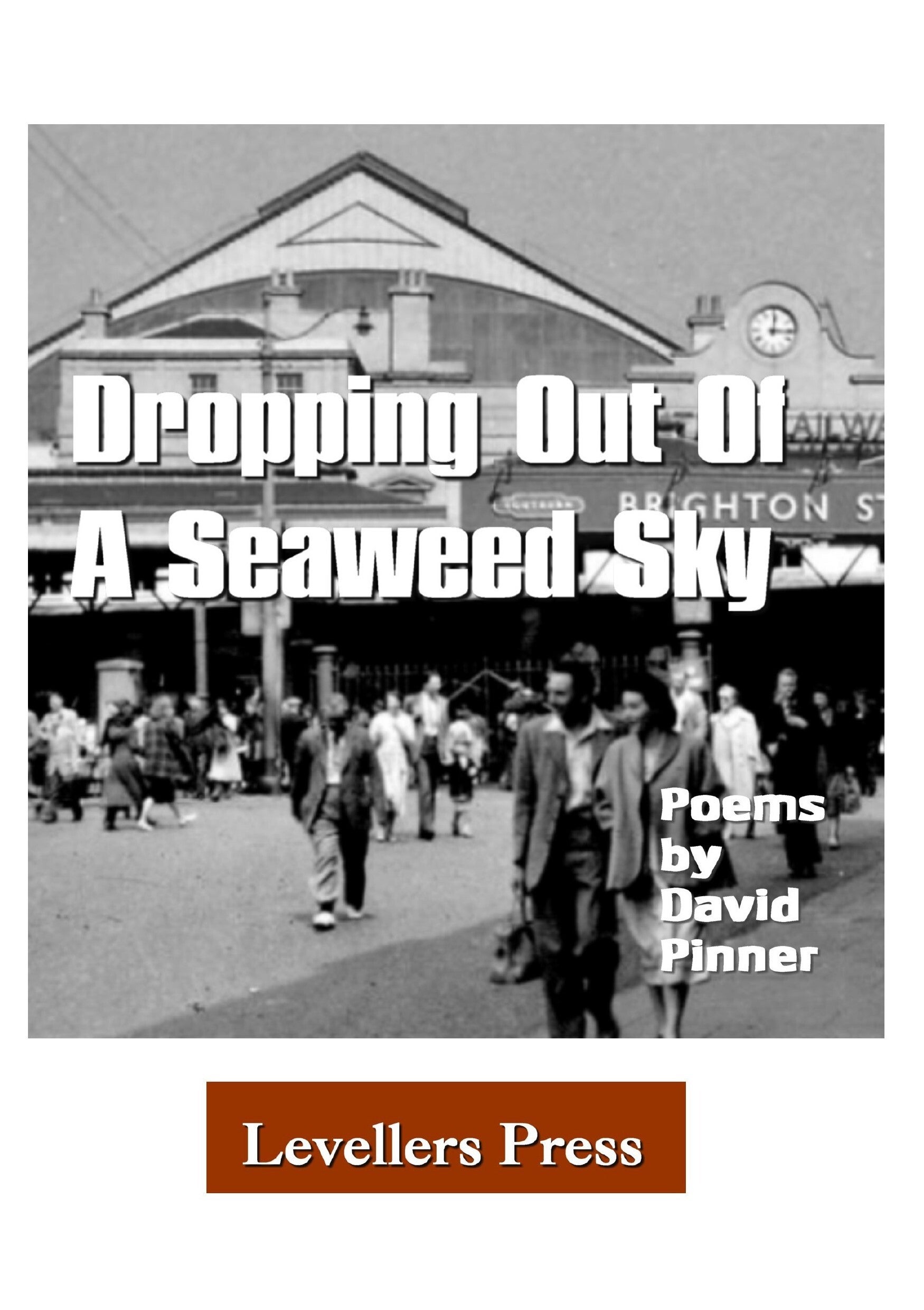 Dropping Out Of A Seaweed Sky by David Pinner