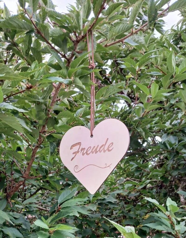 Cuori per il cuore