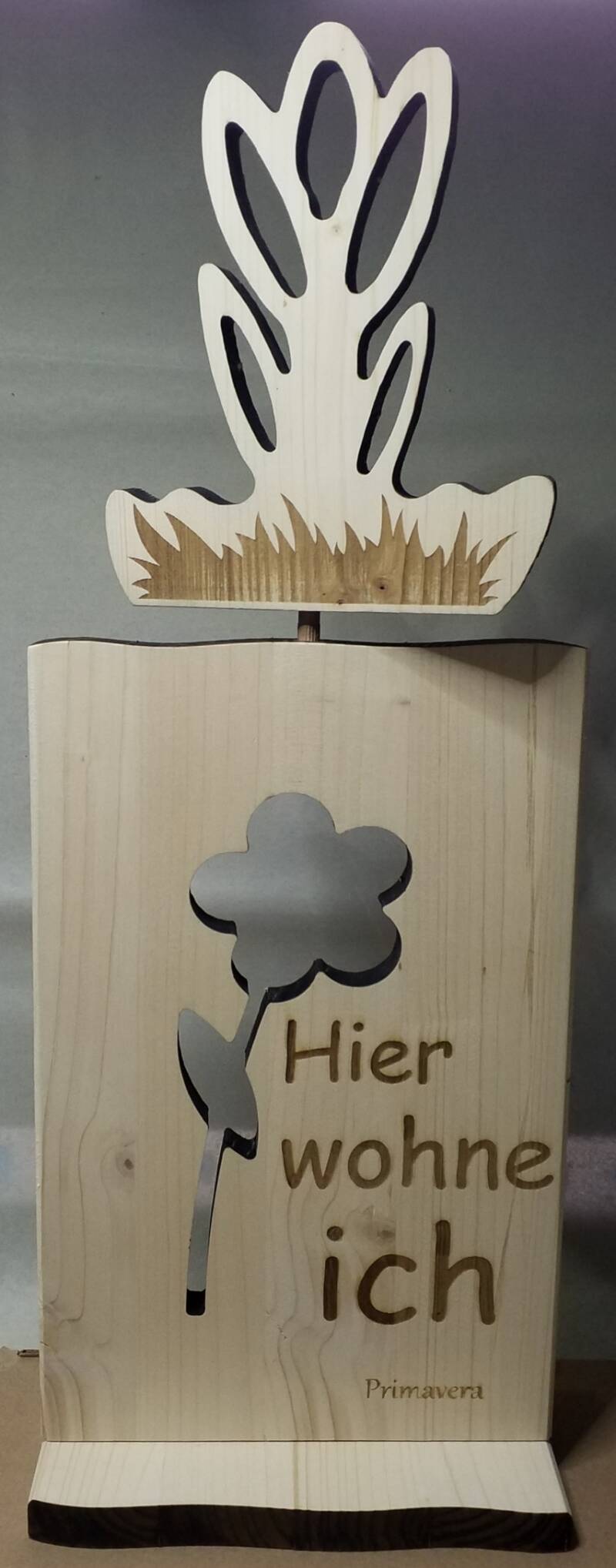 st-nder-2-standard.jpg