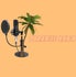Paradise radio