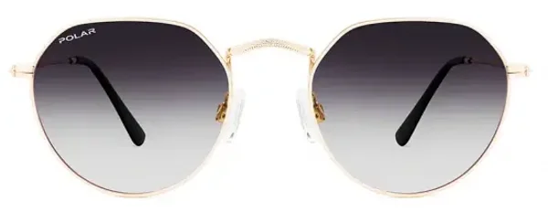 Polar Sunglasses - Arizona 02/M - Gold Metal Frame - Grey Polarised Lens